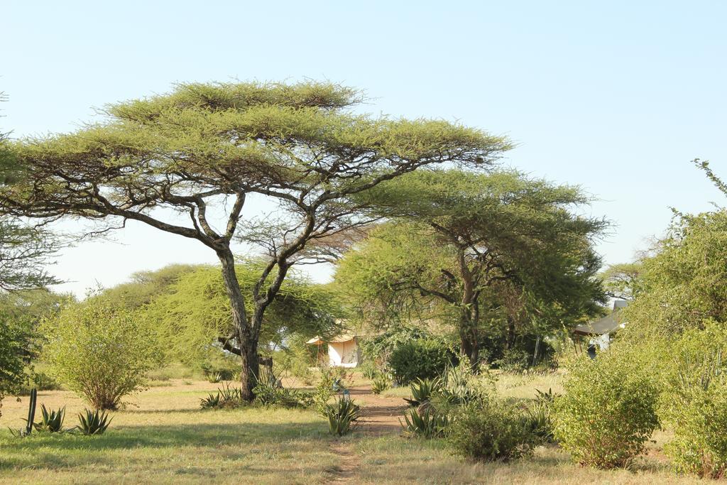Mapito Tented Camp Serengeti Eksteriør bilde